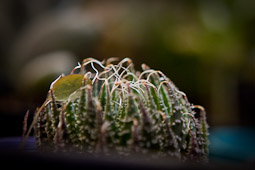 <h3>Ash Milne Photography</h3>Photography in Melbourne
