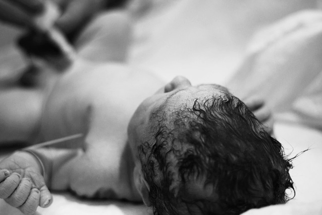 Lucas, Newborn - Photography by Ash Milne