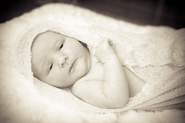 cooper - newborn photography by ash milne