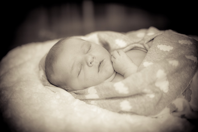 cooper - newborn photography by ash milne