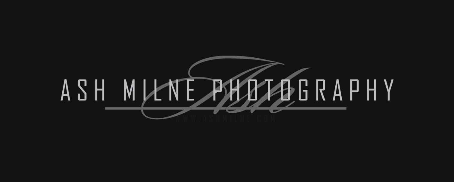 Melbourne Wedding Photography Slideshow by Ash Milne Photography