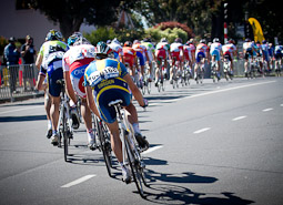 2010 Cycling World Road Race Championships