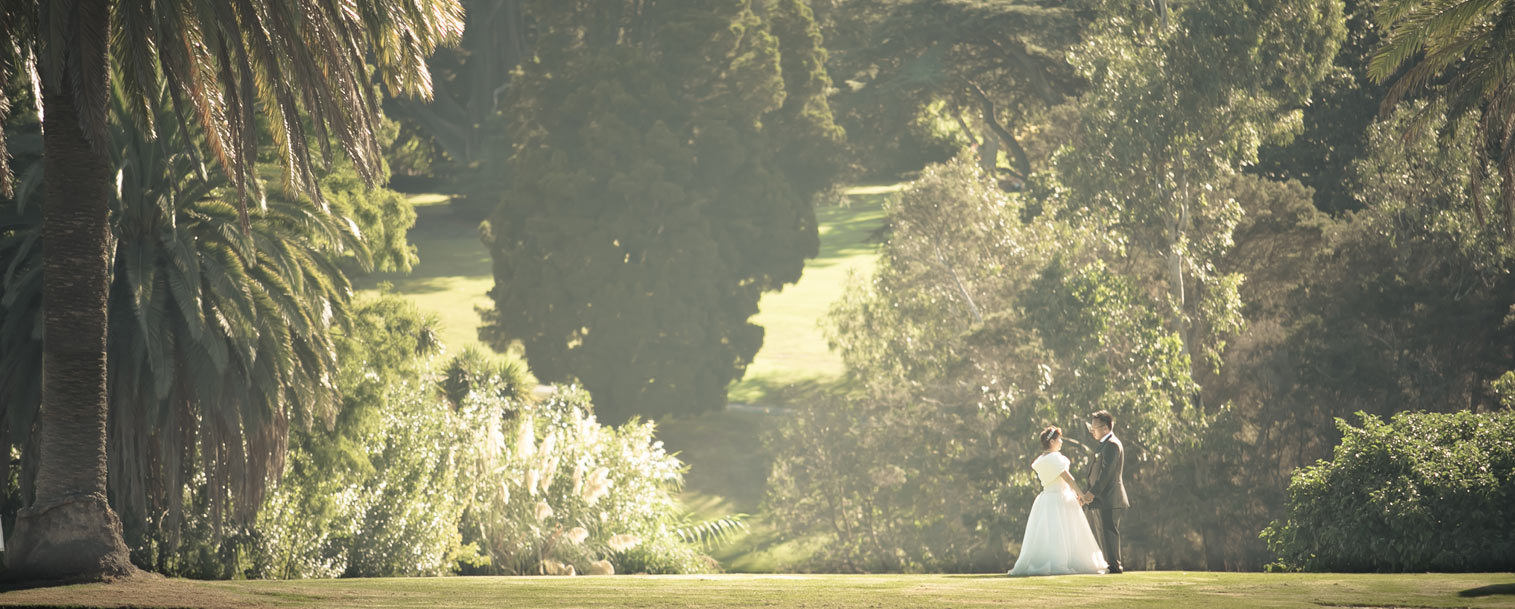 Melbourne Wedding Photography Slideshow by Ash Milne Photography